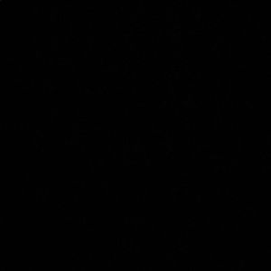 Meet your Posher, Nyla